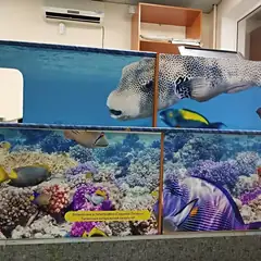 Печать на виниловой пленке латексными чернилами HP Latex